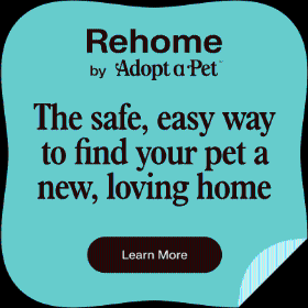 RehomeBadge400x400 - Copy