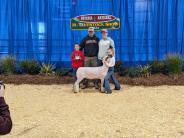 Livestock Show