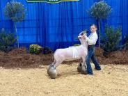 Exhibitor Emma Ratliff at the Georgia Junior National Livestock Show
