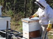 Floyd County Prison Beekeeping