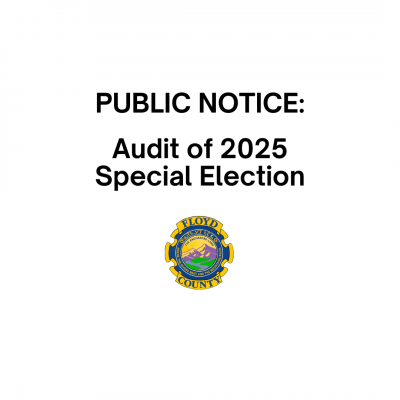 Audit of 2025 Special Election